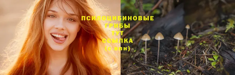 Галлюциногенные грибы MAGIC MUSHROOMS  Барабинск 